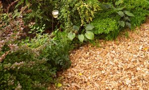 Wood Chipping & Mulching