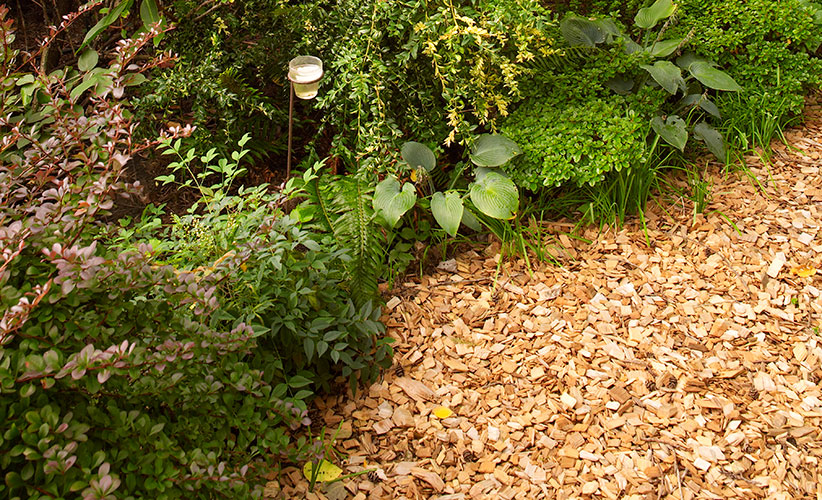 Wood Chipping & Mulching